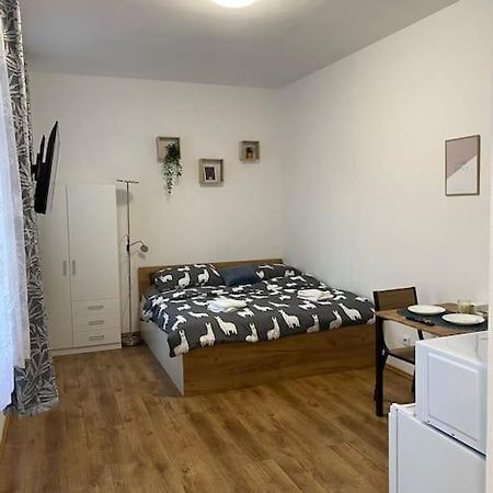 Cozy 1 Bedroom Studio In The Center Of Pilsen エクステリア 写真