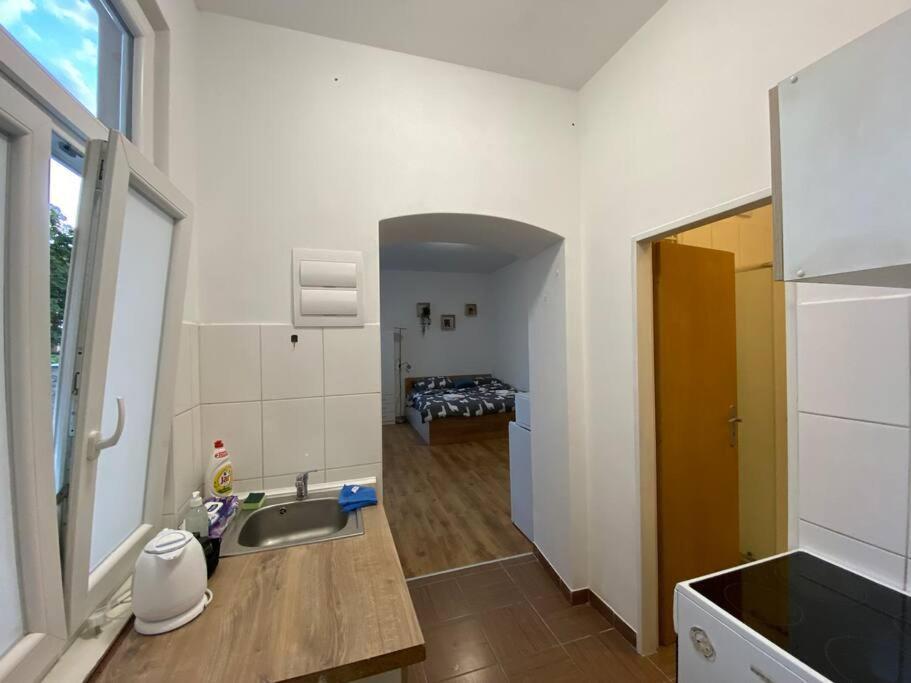 Cozy 1 Bedroom Studio In The Center Of Pilsen エクステリア 写真